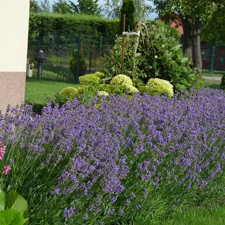 Asterix,obelix I Goscinne Wicie (West Pomeranian)