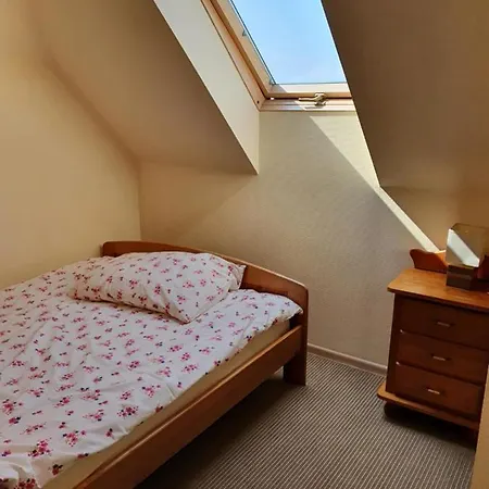 Asterix,obelix I Goscinne