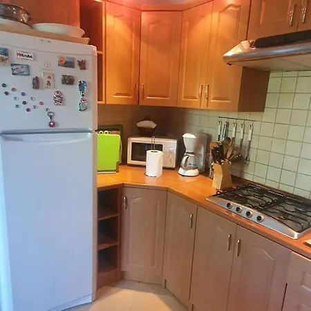 Asterix,obelix I Goscinne