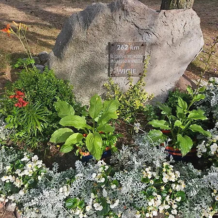 Asterix,obelix I Goscinne *