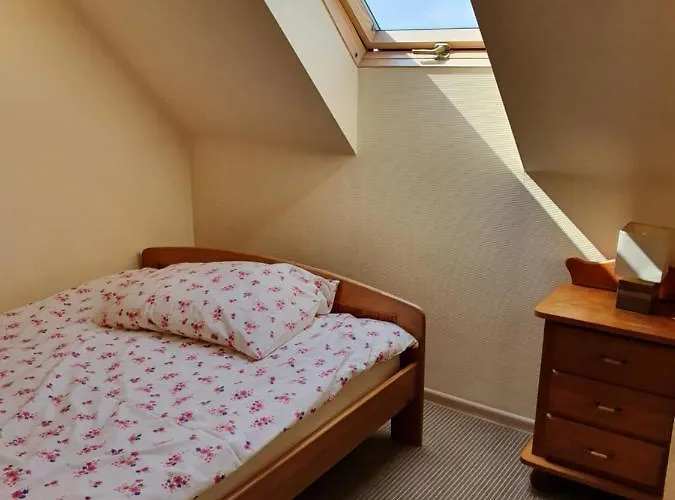 Asterix,obelix I Goscinne