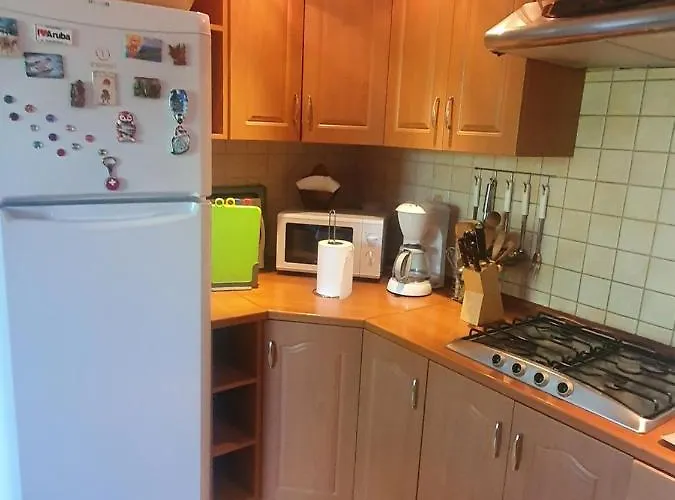 Asterix,obelix I Goscinne