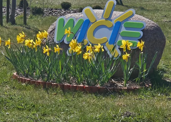 Asterix,obelix I Goscinne *