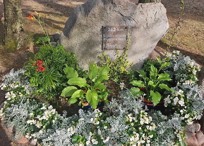 Asterix,obelix I Goscinne *